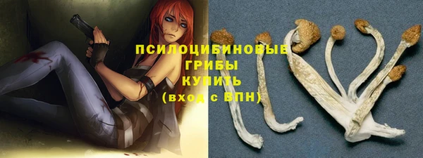 соль курить ск Липки
