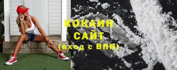 винт Абаза