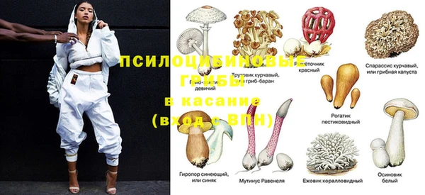 винт Абаза
