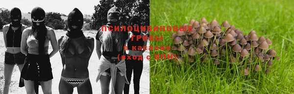 соль ск Наволоки
